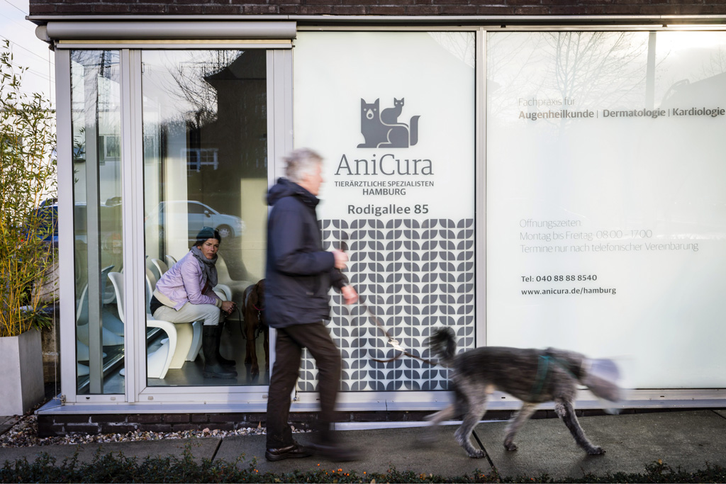 Hamburg / 10.12.2018 - Augenoperation Tierklinik „Anicura“. Fotoreportage: Augenoperation in der Tierklinik „Anicura“ - 10.12.2018 - Hamburg.
AniCura ist ein europäischer Anbieter für die tierärztliche Versorgung von Haustieren uns spezialisiert auf High-Tech Medizin. OP-Hund: Eddie (8) Rasse: Magyar Vizsla (ungarischer Jagthund).
Besitzerin: Sandra Kühl (mit Fotos einverstanden).
Operateur: Tierärztin Dr. Teresa Bilotta .