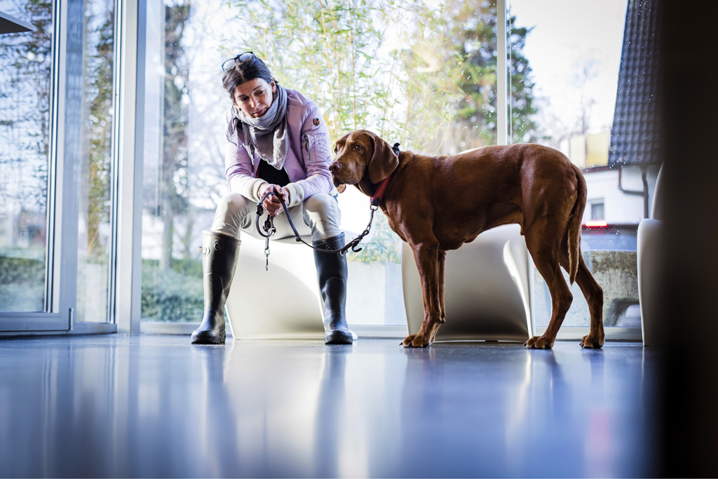 Hamburg / 10.12.2018 - Augenoperation Tierklinik „Anicura“. Fotoreportage: Augenoperation in der Tierklinik „Anicura“ - 10.12.2018 - Hamburg.
AniCura ist ein europäischer Anbieter für die tierärztliche Versorgung von Haustieren uns spezialisiert auf High-Tech Medizin. OP-Hund: Eddie (8) Rasse: Magyar Vizsla (ungarischer Jagthund).
Besitzerin: Sandra Kühl (mit Fotos einverstanden).
Operateur: Tierärztin Dr. Teresa Bilotta .
