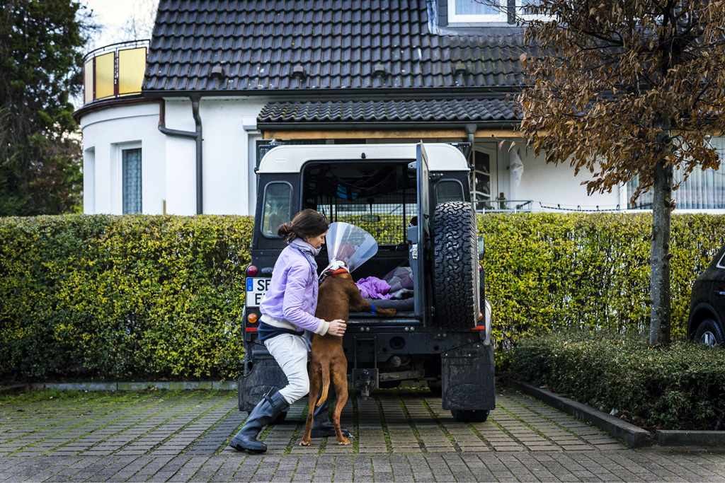 Hamburg / 10.12.2018 - Augenoperation Tierklinik „Anicura“. Fotoreportage: Augenoperation in der Tierklinik „Anicura“ - 10.12.2018 - Hamburg.
AniCura ist ein europäischer Anbieter für die tierärztliche Versorgung von Haustieren uns spezialisiert auf High-Tech Medizin. OP-Hund: Eddie (8) Rasse: Magyar Vizsla (ungarischer Jagthund).
Besitzerin: Sandra Kühl (mit Fotos einverstanden).
Operateur: Tierärztin Dr. Teresa Bilotta .