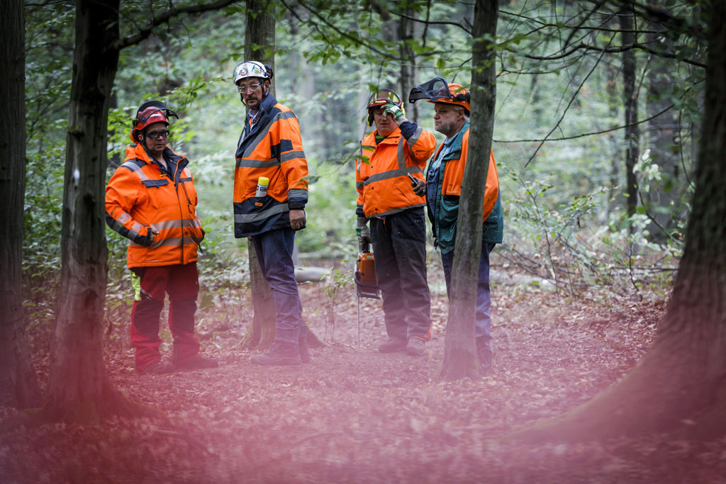Urheberrechtlich Geschuetzte Aufnahmen. Jede Verwendung ist honorarpflichtig und muss beim Urheber angezeigt werden!  [CREDIT: WWW.LARSBERG.EU Ê- Lars Berg, Von der Tinnenstrasse 13, 48145 Muenster, Germany, mobile +49 179 1379630, Bank: Dresdner Bank ÊKonto: 06 009 372 00, BLZ 400 800 40, IBAN: DE09 4008 0040 0600 9372 00 BIC: DRES DE FF 400, Finanzamt Muenster-Innenstadt, Steuernummer 337/5017/1774, USt-IdNr. DE247738150 - Verwendung nur gegen Namensnennung, Beleg und Honorar entsprechend aktueller MFM Preisliste zzgl. 7 Prozent MwSt - Bei der Verwendung ausserhalb journalistischer Berichterstattung (z.B. Werbung etc.) bitte vorher mit dem Autor Kontakt aufnehmen. Es wird grundsaetzlich keine Einholung von Persoenlichkeits-, Kunst- oder Markenrechten zugesichert, es sei denn, dies ist hier in der Bildbeschriftung ausdruecklich vermerkt. Die Einholung dieser Rechte obliegt dem Nutzer. Es gelten die unter WWW.LARSBERG.EU aufgefuehrten AGB`s. - NO MODEL RELEASE - ]