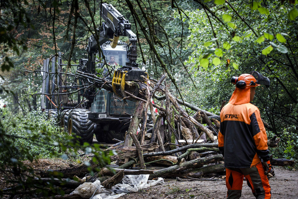 Urheberrechtlich Geschuetzte Aufnahmen. Jede Verwendung ist honorarpflichtig und muss beim Urheber angezeigt werden!  [CREDIT: WWW.LARSBERG.EU Ê- Lars Berg, Von der Tinnenstrasse 13, 48145 Muenster, Germany, mobile +49 179 1379630, Bank: Dresdner Bank ÊKonto: 06 009 372 00, BLZ 400 800 40, IBAN: DE09 4008 0040 0600 9372 00 BIC: DRES DE FF 400, Finanzamt Muenster-Innenstadt, Steuernummer 337/5017/1774, USt-IdNr. DE247738150 - Verwendung nur gegen Namensnennung, Beleg und Honorar entsprechend aktueller MFM Preisliste zzgl. 7 Prozent MwSt - Bei der Verwendung ausserhalb journalistischer Berichterstattung (z.B. Werbung etc.) bitte vorher mit dem Autor Kontakt aufnehmen. Es wird grundsaetzlich keine Einholung von Persoenlichkeits-, Kunst- oder Markenrechten zugesichert, es sei denn, dies ist hier in der Bildbeschriftung ausdruecklich vermerkt. Die Einholung dieser Rechte obliegt dem Nutzer. Es gelten die unter WWW.LARSBERG.EU aufgefuehrten AGB`s. - NO MODEL RELEASE - ]
