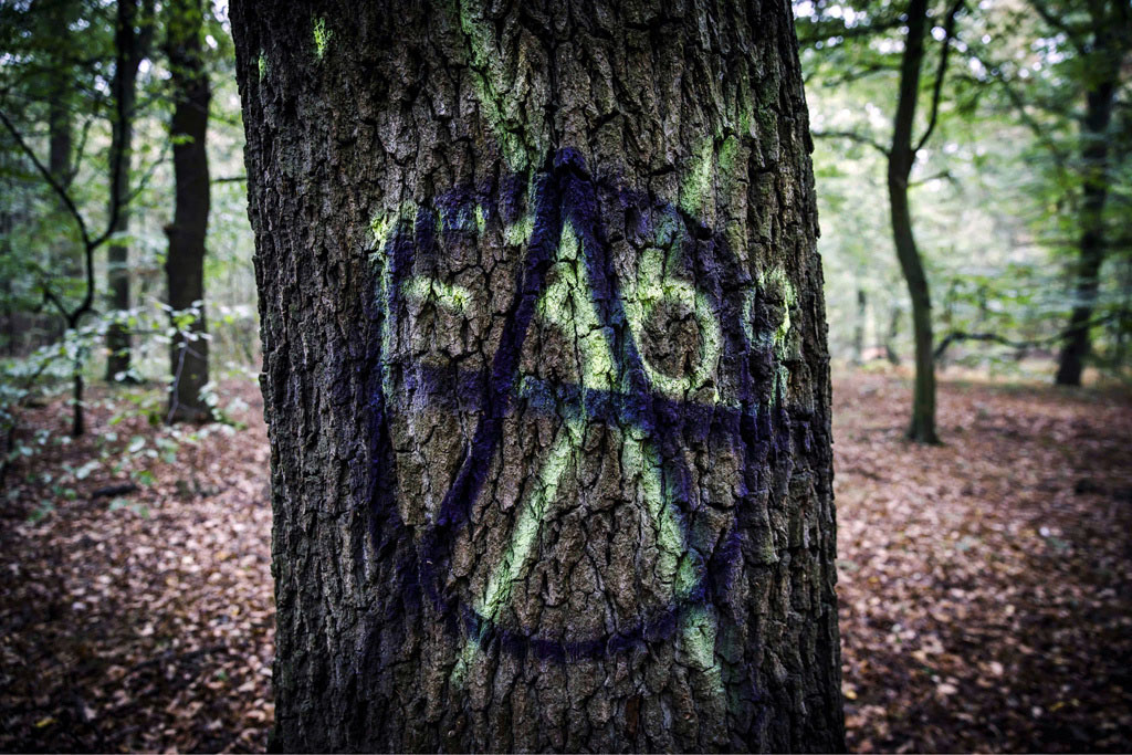 Urheberrechtlich Geschuetzte Aufnahmen. Jede Verwendung ist honorarpflichtig und muss beim Urheber angezeigt werden!  [CREDIT: WWW.LARSBERG.EU Ê- Lars Berg, Von der Tinnenstrasse 13, 48145 Muenster, Germany, mobile +49 179 1379630, Bank: Dresdner Bank ÊKonto: 06 009 372 00, BLZ 400 800 40, IBAN: DE09 4008 0040 0600 9372 00 BIC: DRES DE FF 400, Finanzamt Muenster-Innenstadt, Steuernummer 337/5017/1774, USt-IdNr. DE247738150 - Verwendung nur gegen Namensnennung, Beleg und Honorar entsprechend aktueller MFM Preisliste zzgl. 7 Prozent MwSt - Bei der Verwendung ausserhalb journalistischer Berichterstattung (z.B. Werbung etc.) bitte vorher mit dem Autor Kontakt aufnehmen. Es wird grundsaetzlich keine Einholung von Persoenlichkeits-, Kunst- oder Markenrechten zugesichert, es sei denn, dies ist hier in der Bildbeschriftung ausdruecklich vermerkt. Die Einholung dieser Rechte obliegt dem Nutzer. Es gelten die unter WWW.LARSBERG.EU aufgefuehrten AGB`s. - NO MODEL RELEASE - ]