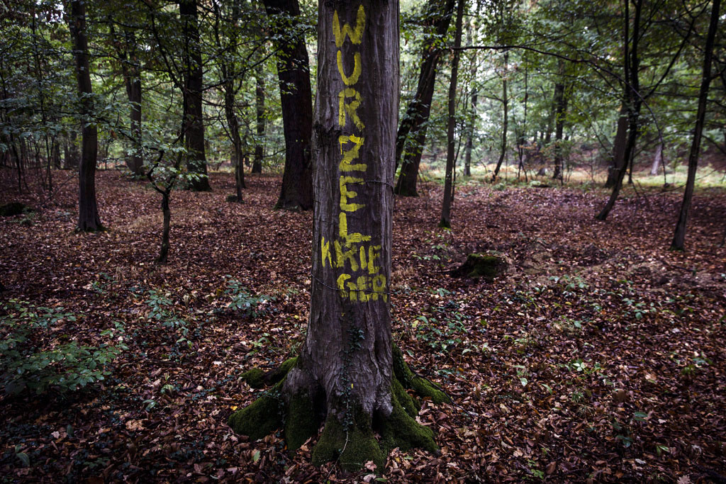 Urheberrechtlich Geschuetzte Aufnahmen. Jede Verwendung ist honorarpflichtig und muss beim Urheber angezeigt werden!  [CREDIT: WWW.LARSBERG.EU Ê- Lars Berg, Von der Tinnenstrasse 13, 48145 Muenster, Germany, mobile +49 179 1379630, Bank: Dresdner Bank ÊKonto: 06 009 372 00, BLZ 400 800 40, IBAN: DE09 4008 0040 0600 9372 00 BIC: DRES DE FF 400, Finanzamt Muenster-Innenstadt, Steuernummer 337/5017/1774, USt-IdNr. DE247738150 - Verwendung nur gegen Namensnennung, Beleg und Honorar entsprechend aktueller MFM Preisliste zzgl. 7 Prozent MwSt - Bei der Verwendung ausserhalb journalistischer Berichterstattung (z.B. Werbung etc.) bitte vorher mit dem Autor Kontakt aufnehmen. Es wird grundsaetzlich keine Einholung von Persoenlichkeits-, Kunst- oder Markenrechten zugesichert, es sei denn, dies ist hier in der Bildbeschriftung ausdruecklich vermerkt. Die Einholung dieser Rechte obliegt dem Nutzer. Es gelten die unter WWW.LARSBERG.EU aufgefuehrten AGB`s. - NO MODEL RELEASE - ]