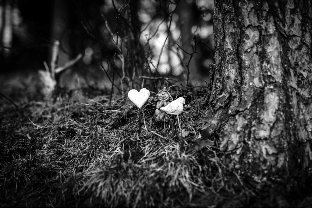 Urheberrechtlich geschuetzte Aufnahmen. Jede Verwendung ist honorarpflichtig und muss beim Urheber vorher angezeigt werden!  [CREDIT: Lars Berg / WWW.LARSBERG.EU Ê- Lars Berg, Von der Tinnenstrasse 13, 48145 Muenster, Germany, mobile +49 179 1379630, Bank: Commerzbank Mnster, IBAN: DE09 4008 0040 0600 9372 00 BIC: DRES DE FF 400, Finanzamt Muenster-Innenstadt, Steuernummer 337/5017/1774, USt-IdNr. DE247738150 - Verwendung nur gegen Namensnennung, Beleg und Honorar entsprechend aktueller MFMPreisliste zzgl. 7 Prozent MwSt - Bei der Verwendung ausserhalb journalistischer Berichterstattung (z.B. Werbung etc.) bitte vorher mit dem Autor Kontakt aufnehmen. Es wird grundsaetzlich keine Einholung von Persoenlichkeits-, Kunst- oder Markenrechten zugesichert, es sei denn, dies ist hier in der Bildbeschriftung ausdruecklich vermerkt. Die Einholung dieser Rechte obliegt dem Nutzer. Es gelten die unter WWW.LARSBERG.EU aufgefhrten AGB. - NO MODEL RELEASE - ]