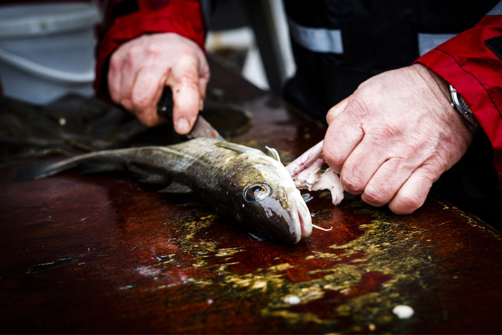 Urheberrechtlich geschuetzte Aufnahmen. Jede Verwendung ist honorarpflichtig und muss beim Urheber vorher angezeigt werden!  [CREDIT: Lars Berg / WWW.LARSBERG.EU Ê- Lars Berg, Von der Tinnenstrasse 13, 48145 Muenster, Germany, mobile +49 179 1379630, Bank: Commerzbank Mnster, IBAN: DE09 4008 0040 0600 9372 00 BIC: DRES DE FF 400, Finanzamt Muenster-Innenstadt, Steuernummer 337/5017/1774, USt-IdNr. DE247738150 - Verwendung nur gegen Namensnennung, Beleg und Honorar entsprechend aktueller MFMPreisliste zzgl. 7 Prozent MwSt - Bei der Verwendung ausserhalb journalistischer Berichterstattung (z.B. Werbung etc.) bitte vorher mit dem Autor Kontakt aufnehmen. Es wird grundsaetzlich keine Einholung von Persoenlichkeits-, Kunst- oder Markenrechten zugesichert, es sei denn, dies ist hier in der Bildbeschriftung ausdruecklich vermerkt. Die Einholung dieser Rechte obliegt dem Nutzer. Es gelten die unter WWW.LARSBERG.EU aufgefhrten AGB. - NO MODEL RELEASE - ]