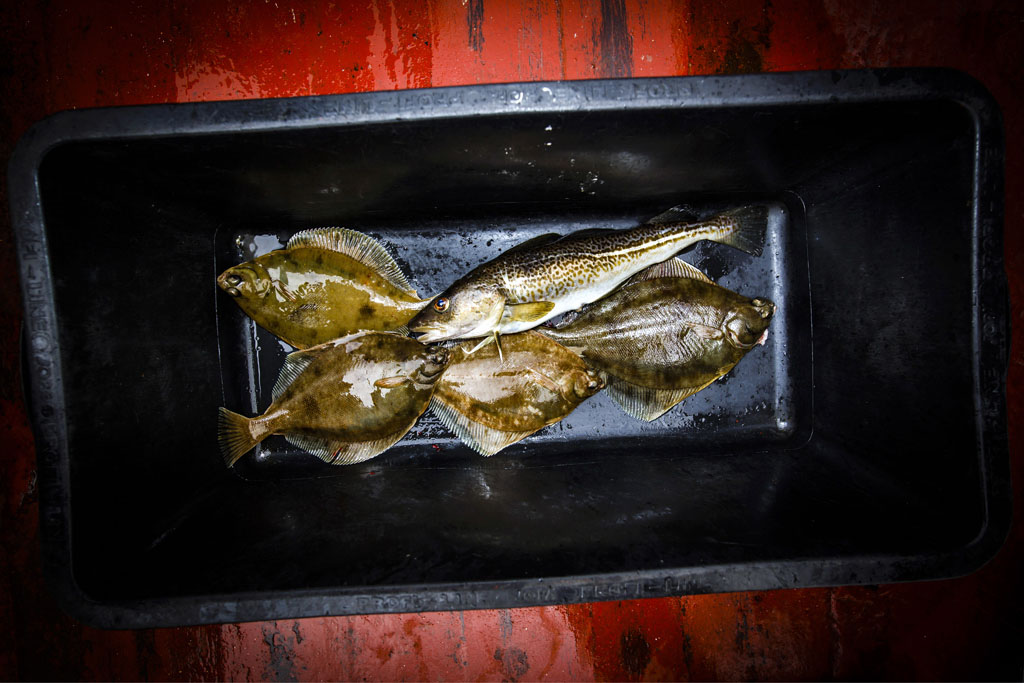 Urheberrechtlich geschuetzte Aufnahmen. Jede Verwendung ist honorarpflichtig und muss beim Urheber vorher angezeigt werden!  [CREDIT: Lars Berg / WWW.LARSBERG.EU Ê- Lars Berg, Von der Tinnenstrasse 13, 48145 Muenster, Germany, mobile +49 179 1379630, Bank: Commerzbank Mnster, IBAN: DE09 4008 0040 0600 9372 00 BIC: DRES DE FF 400, Finanzamt Muenster-Innenstadt, Steuernummer 337/5017/1774, USt-IdNr. DE247738150 - Verwendung nur gegen Namensnennung, Beleg und Honorar entsprechend aktueller MFMPreisliste zzgl. 7 Prozent MwSt - Bei der Verwendung ausserhalb journalistischer Berichterstattung (z.B. Werbung etc.) bitte vorher mit dem Autor Kontakt aufnehmen. Es wird grundsaetzlich keine Einholung von Persoenlichkeits-, Kunst- oder Markenrechten zugesichert, es sei denn, dies ist hier in der Bildbeschriftung ausdruecklich vermerkt. Die Einholung dieser Rechte obliegt dem Nutzer. Es gelten die unter WWW.LARSBERG.EU aufgefhrten AGB. - NO MODEL RELEASE - ]