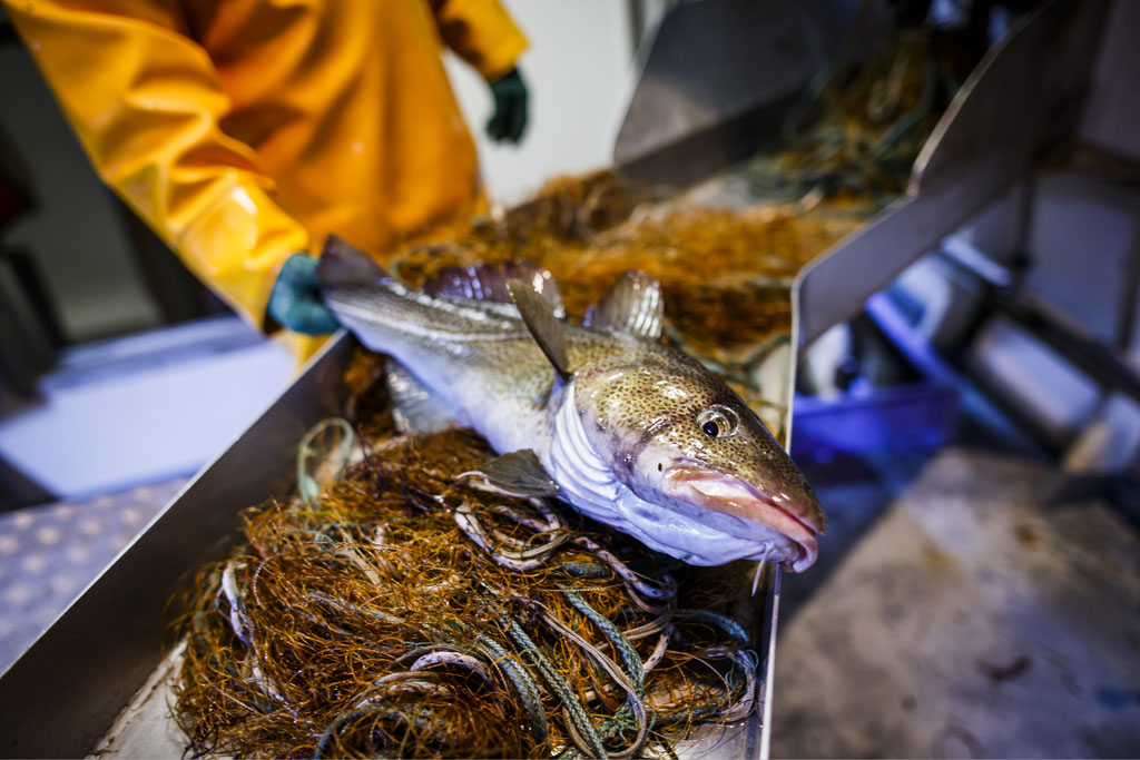 Urheberrechtlich geschuetzte Aufnahmen. Jede Verwendung ist honorarpflichtig und muss beim Urheber vorher angezeigt werden!  [CREDIT: Lars Berg / WWW.LARSBERG.EU Ê- Lars Berg, Von der Tinnenstrasse 13, 48145 Muenster, Germany, mobile +49 179 1379630, Bank: Commerzbank Mnster, IBAN: DE09 4008 0040 0600 9372 00 BIC: DRES DE FF 400, Finanzamt Muenster-Innenstadt, Steuernummer 337/5017/1774, USt-IdNr. DE247738150 - Verwendung nur gegen Namensnennung, Beleg und Honorar entsprechend aktueller MFMPreisliste zzgl. 7 Prozent MwSt - Bei der Verwendung ausserhalb journalistischer Berichterstattung (z.B. Werbung etc.) bitte vorher mit dem Autor Kontakt aufnehmen. Es wird grundsaetzlich keine Einholung von Persoenlichkeits-, Kunst- oder Markenrechten zugesichert, es sei denn, dies ist hier in der Bildbeschriftung ausdruecklich vermerkt. Die Einholung dieser Rechte obliegt dem Nutzer. Es gelten die unter WWW.LARSBERG.EU aufgefhrten AGB. - NO MODEL RELEASE - ]