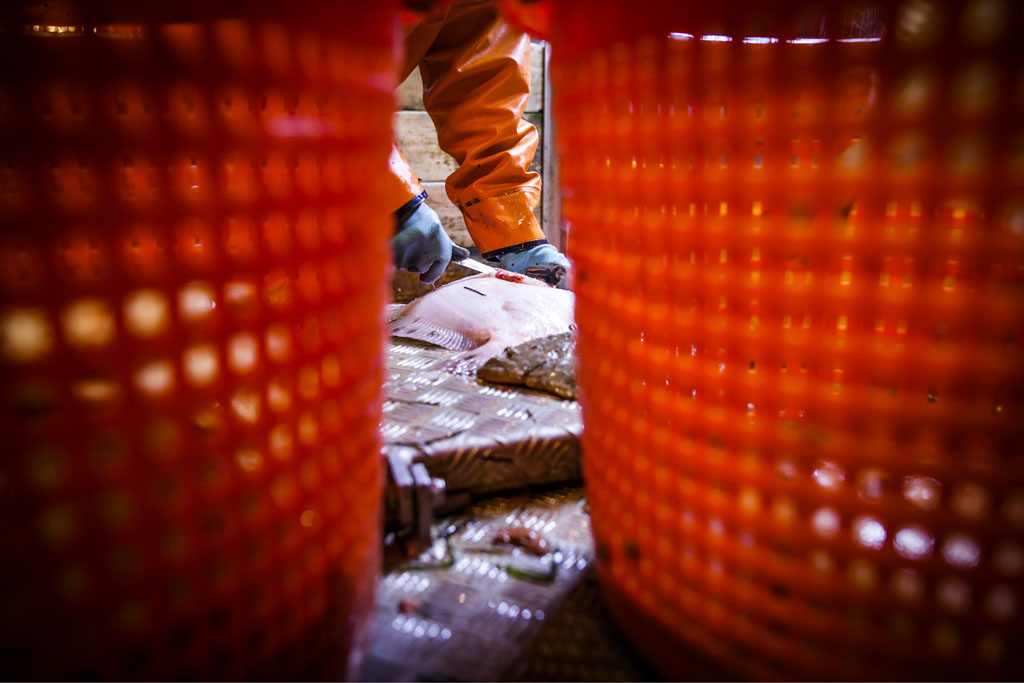 Urheberrechtlich geschuetzte Aufnahmen. Jede Verwendung ist honorarpflichtig und muss beim Urheber vorher angezeigt werden!  [CREDIT: Lars Berg / WWW.LARSBERG.EU Ê- Lars Berg, Von der Tinnenstrasse 13, 48145 Muenster, Germany, mobile +49 179 1379630, Bank: Commerzbank Mnster, IBAN: DE09 4008 0040 0600 9372 00 BIC: DRES DE FF 400, Finanzamt Muenster-Innenstadt, Steuernummer 337/5017/1774, USt-IdNr. DE247738150 - Verwendung nur gegen Namensnennung, Beleg und Honorar entsprechend aktueller MFMPreisliste zzgl. 7 Prozent MwSt - Bei der Verwendung ausserhalb journalistischer Berichterstattung (z.B. Werbung etc.) bitte vorher mit dem Autor Kontakt aufnehmen. Es wird grundsaetzlich keine Einholung von Persoenlichkeits-, Kunst- oder Markenrechten zugesichert, es sei denn, dies ist hier in der Bildbeschriftung ausdruecklich vermerkt. Die Einholung dieser Rechte obliegt dem Nutzer. Es gelten die unter WWW.LARSBERG.EU aufgefhrten AGB. - NO MODEL RELEASE - ]