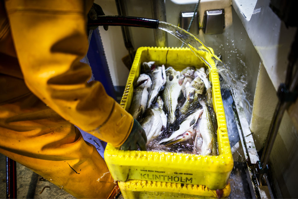 Urheberrechtlich geschuetzte Aufnahmen. Jede Verwendung ist honorarpflichtig und muss beim Urheber vorher angezeigt werden!  [CREDIT: Lars Berg / WWW.LARSBERG.EU Ê- Lars Berg, Von der Tinnenstrasse 13, 48145 Muenster, Germany, mobile +49 179 1379630, Bank: Commerzbank Mnster, IBAN: DE09 4008 0040 0600 9372 00 BIC: DRES DE FF 400, Finanzamt Muenster-Innenstadt, Steuernummer 337/5017/1774, USt-IdNr. DE247738150 - Verwendung nur gegen Namensnennung, Beleg und Honorar entsprechend aktueller MFMPreisliste zzgl. 7 Prozent MwSt - Bei der Verwendung ausserhalb journalistischer Berichterstattung (z.B. Werbung etc.) bitte vorher mit dem Autor Kontakt aufnehmen. Es wird grundsaetzlich keine Einholung von Persoenlichkeits-, Kunst- oder Markenrechten zugesichert, es sei denn, dies ist hier in der Bildbeschriftung ausdruecklich vermerkt. Die Einholung dieser Rechte obliegt dem Nutzer. Es gelten die unter WWW.LARSBERG.EU aufgefhrten AGB. - NO MODEL RELEASE - ]