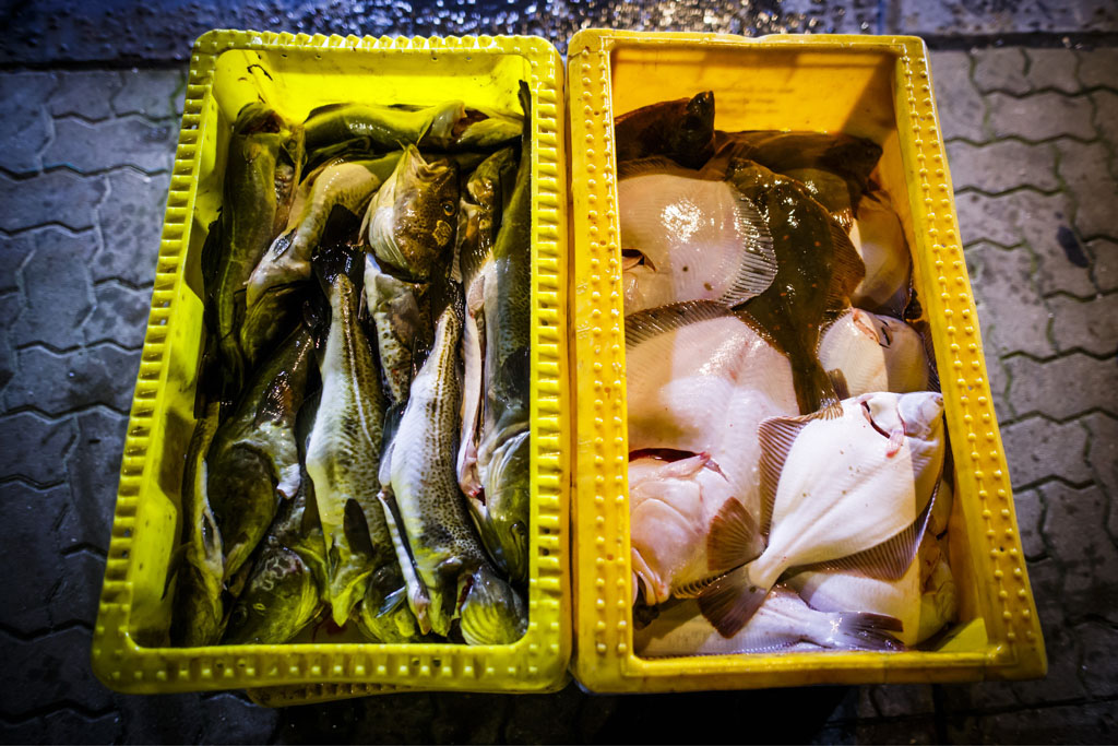 Urheberrechtlich geschuetzte Aufnahmen. Jede Verwendung ist honorarpflichtig und muss beim Urheber vorher angezeigt werden!  [CREDIT: Lars Berg / WWW.LARSBERG.EU Ê- Lars Berg, Von der Tinnenstrasse 13, 48145 Muenster, Germany, mobile +49 179 1379630, Bank: Commerzbank Mnster, IBAN: DE09 4008 0040 0600 9372 00 BIC: DRES DE FF 400, Finanzamt Muenster-Innenstadt, Steuernummer 337/5017/1774, USt-IdNr. DE247738150 - Verwendung nur gegen Namensnennung, Beleg und Honorar entsprechend aktueller MFMPreisliste zzgl. 7 Prozent MwSt - Bei der Verwendung ausserhalb journalistischer Berichterstattung (z.B. Werbung etc.) bitte vorher mit dem Autor Kontakt aufnehmen. Es wird grundsaetzlich keine Einholung von Persoenlichkeits-, Kunst- oder Markenrechten zugesichert, es sei denn, dies ist hier in der Bildbeschriftung ausdruecklich vermerkt. Die Einholung dieser Rechte obliegt dem Nutzer. Es gelten die unter WWW.LARSBERG.EU aufgefhrten AGB. - NO MODEL RELEASE - ]