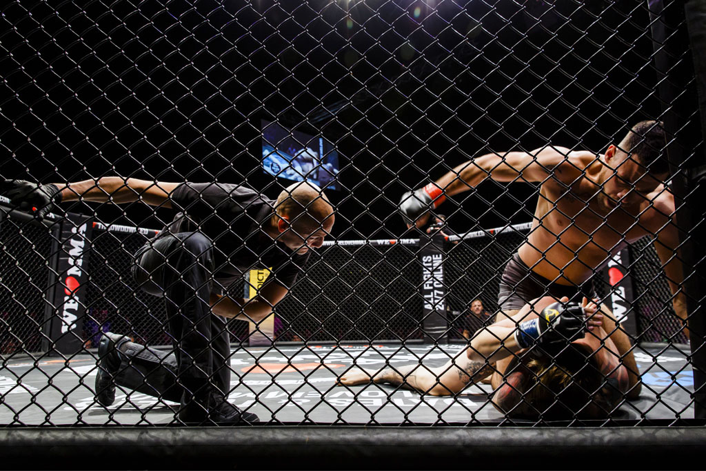 Urheberrechtlich geschuetzte Aufnahmen. Jede Verwendung ist honorarpflichtig und muss beim Urheber vorher angezeigt werden!  [CREDIT: Lars Berg / WWW.LARSBERG.EU Ê- Lars Berg, Von der Tinnenstrasse 13, 48145 Muenster, Germany, mobile +49 179 1379630, Bank: Commerzbank Mnster, IBAN: DE09 4008 0040 0600 9372 00 BIC: DRES DE FF 400, Finanzamt Muenster-Innenstadt, Steuernummer 337/5017/1774, USt-IdNr. DE247738150 - Verwendung nur gegen Namensnennung, Beleg und Honorar entsprechend aktueller MFMPreisliste zzgl. 7 Prozent MwSt - Bei der Verwendung ausserhalb journalistischer Berichterstattung (z.B. Werbung etc.) bitte vorher mit dem Autor Kontakt aufnehmen. Es wird grundsaetzlich keine Einholung von Persoenlichkeits-, Kunst- oder Markenrechten zugesichert, es sei denn, dies ist hier in der Bildbeschriftung ausdruecklich vermerkt. Die Einholung dieser Rechte obliegt dem Nutzer. Es gelten die unter WWW.LARSBERG.EU aufgefhrten AGB. - NO MODEL RELEASE - ]