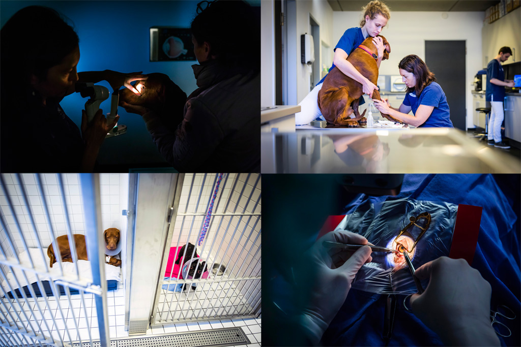 Urheberrechtlich Geschuetzte Aufnahmen.  [CREDIT: WWW.LARSBERG.EU Ê- Lars Berg, Von der Tinnenstrasse 13, 48145 Muenster, Germany, mobile +49 179 1379630, Bank: Dresdner Bank ÊKonto: 06 009 372 00, BLZ 400 800 40, IBAN: DE09 4008 0040 0600 9372 00 BIC: DRES DE FF 400, Finanzamt Muenster-Innenstadt, Steuernummer 337/5017/1774, USt-IdNr. DE247738150 - Verwendung nur gegen Namensnennung, Beleg und Honorar entsprechend aktueller MFMPreisliste zzgl. 7Prozent MwSt - Bei der Verwendung ausserhalb journalistischer Berichterstattung (z.B. Werbung etc.) bitte vorher mit dem Autor Kontakt aufnehmen. Es wird grundsaetzlich keine Einholung von Persoenlichkeits-, Kunst- oder Markenrechten zugesichert, es sei denn, dies ist hier in der Bildbeschriftung ausdruecklich vermerkt. Die Einholung dieser Rechte obliegt dem Nutzer. Es gelten die unter WWW.LARSBERG.EU aufgefhrten AGB`s. - NO MODEL RELEASE - ]