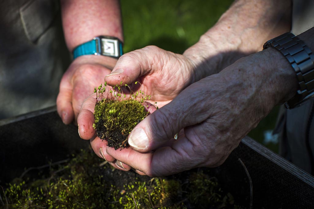 Urheberrechtlich geschuetzte Aufnahmen. Jede Verwendung ist honorarpflichtig und muss beim Urheber angezeigt werden!  [CREDIT: Lars Berg / WWW.LARSBERG.EU Ê- Lars Berg, Von der Tinnenstrasse 13, 48145 Muenster, Germany, mobile +49 179 1379630, Bank: Commerzbank Mnster, IBAN: DE09 4008 0040 0600 9372 00 BIC: DRES DE FF 400, Finanzamt Muenster-Innenstadt, Steuernummer 337/5017/1774, USt-IdNr. DE247738150 - Verwendung nur gegen Namensnennung, Beleg und Honorar entsprechend aktueller MFMPreisliste zzgl. 7 Prozent MwSt - Bei der Verwendung ausserhalb journalistischer Berichterstattung (z.B. Werbung etc.) bitte vorher mit dem Autor Kontakt aufnehmen. Es wird grundsaetzlich keine Einholung von Persoenlichkeits-, Kunst- oder Markenrechten zugesichert, es sei denn, dies ist hier in der Bildbeschriftung ausdruecklich vermerkt. Die Einholung dieser Rechte obliegt dem Nutzer. Es gelten die unter WWW.LARSBERG.EU aufgefhrten AGB. - NO MODEL RELEASE - ]
