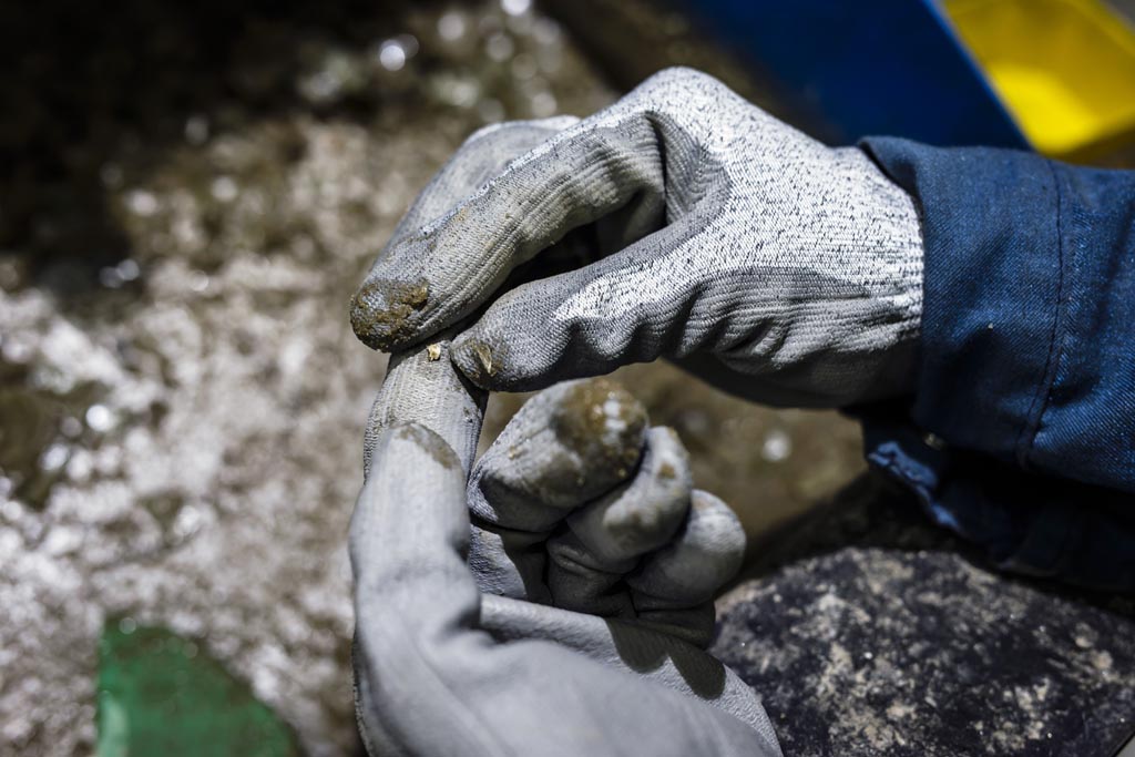 Urheberrechtlich geschuetzte Aufnahmen. Jede Verwendung ist honorarpflichtig und muss beim Urheber angezeigt werden!  [CREDIT: Lars Berg / WWW.LARSBERG.EU Ê- Lars Berg, Von der Tinnenstrasse 13, 48145 Muenster, Germany, mobile +49 179 1379630, Bank: Commerzbank Mnster, IBAN: DE09 4008 0040 0600 9372 00 BIC: DRES DE FF 400, Finanzamt Muenster-Innenstadt, Steuernummer 337/5017/1774, USt-IdNr. DE247738150 - Verwendung nur gegen Namensnennung, Beleg und Honorar entsprechend aktueller MFMPreisliste zzgl. 7 Prozent MwSt - Bei der Verwendung ausserhalb journalistischer Berichterstattung (z.B. Werbung etc.) bitte vorher mit dem Autor Kontakt aufnehmen. Es wird grundsaetzlich keine Einholung von Persoenlichkeits-, Kunst- oder Markenrechten zugesichert, es sei denn, dies ist hier in der Bildbeschriftung ausdruecklich vermerkt. Die Einholung dieser Rechte obliegt dem Nutzer. Es gelten die unter WWW.LARSBERG.EU aufgefhrten AGB. - NO MODEL RELEASE - ]