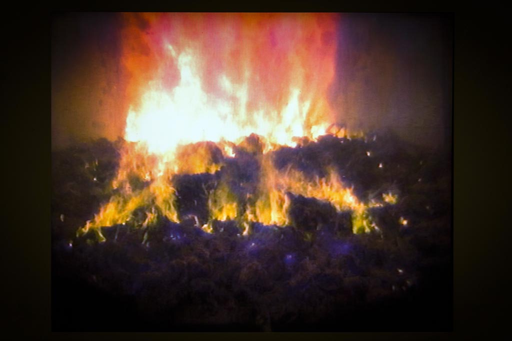 Urheberrechtlich geschuetzte Aufnahmen. Jede Verwendung ist honorarpflichtig und muss beim Urheber angezeigt werden!  [CREDIT: Lars Berg / WWW.LARSBERG.EU Ê- Lars Berg, Von der Tinnenstrasse 13, 48145 Muenster, Germany, mobile +49 179 1379630, Bank: Commerzbank Mnster, IBAN: DE09 4008 0040 0600 9372 00 BIC: DRES DE FF 400, Finanzamt Muenster-Innenstadt, Steuernummer 337/5017/1774, USt-IdNr. DE247738150 - Verwendung nur gegen Namensnennung, Beleg und Honorar entsprechend aktueller MFMPreisliste zzgl. 7 Prozent MwSt - Bei der Verwendung ausserhalb journalistischer Berichterstattung (z.B. Werbung etc.) bitte vorher mit dem Autor Kontakt aufnehmen. Es wird grundsaetzlich keine Einholung von Persoenlichkeits-, Kunst- oder Markenrechten zugesichert, es sei denn, dies ist hier in der Bildbeschriftung ausdruecklich vermerkt. Die Einholung dieser Rechte obliegt dem Nutzer. Es gelten die unter WWW.LARSBERG.EU aufgefhrten AGB. - NO MODEL RELEASE - ]