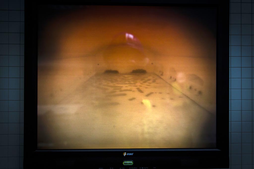 Urheberrechtlich geschuetzte Aufnahmen. Jede Verwendung ist honorarpflichtig und muss beim Urheber angezeigt werden!  [CREDIT: Lars Berg / WWW.LARSBERG.EU Ê- Lars Berg, Von der Tinnenstrasse 13, 48145 Muenster, Germany, mobile +49 179 1379630, Bank: Commerzbank Mnster, IBAN: DE09 4008 0040 0600 9372 00 BIC: DRES DE FF 400, Finanzamt Muenster-Innenstadt, Steuernummer 337/5017/1774, USt-IdNr. DE247738150 - Verwendung nur gegen Namensnennung, Beleg und Honorar entsprechend aktueller MFMPreisliste zzgl. 7 Prozent MwSt - Bei der Verwendung ausserhalb journalistischer Berichterstattung (z.B. Werbung etc.) bitte vorher mit dem Autor Kontakt aufnehmen. Es wird grundsaetzlich keine Einholung von Persoenlichkeits-, Kunst- oder Markenrechten zugesichert, es sei denn, dies ist hier in der Bildbeschriftung ausdruecklich vermerkt. Die Einholung dieser Rechte obliegt dem Nutzer. Es gelten die unter WWW.LARSBERG.EU aufgefhrten AGB. - NO MODEL RELEASE - ]