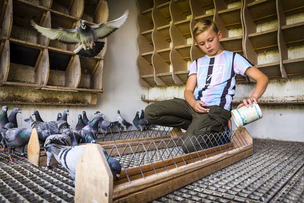 Urheberrechtlich Geschuetzte Aufnahmen.  [CREDIT: WWW.LARSBERG.EU Ê- Lars Berg, Von der Tinnenstrasse 13, 48145 Muenster, Germany, mobile +49 179 1379630, Bank: Dresdner Bank ÊKonto: 06 009 372 00, BLZ 400 800 40, IBAN: DE09 4008 0040 0600 9372 00 BIC: DRES DE FF 400, Finanzamt Muenster-Innenstadt, Steuernummer 337/5017/1774, USt-IdNr. DE247738150 - Verwendung nur gegen Namensnennung, Beleg und Honorar entsprechend aktueller MFMPreisliste zzgl. 7Prozent MwSt - Bei der Verwendung ausserhalb journalistischer Berichterstattung (z.B. Werbung etc.) bitte vorher mit dem Autor Kontakt aufnehmen. Es wird grundsaetzlich keine Einholung von Persoenlichkeits-, Kunst- oder Markenrechten zugesichert, es sei denn, dies ist hier in der Bildbeschriftung ausdruecklich vermerkt. Die Einholung dieser Rechte obliegt dem Nutzer. Es gelten die unter WWW.LARSBERG.EU aufgefhrten AGB`s. - NO MODEL RELEASE - ]