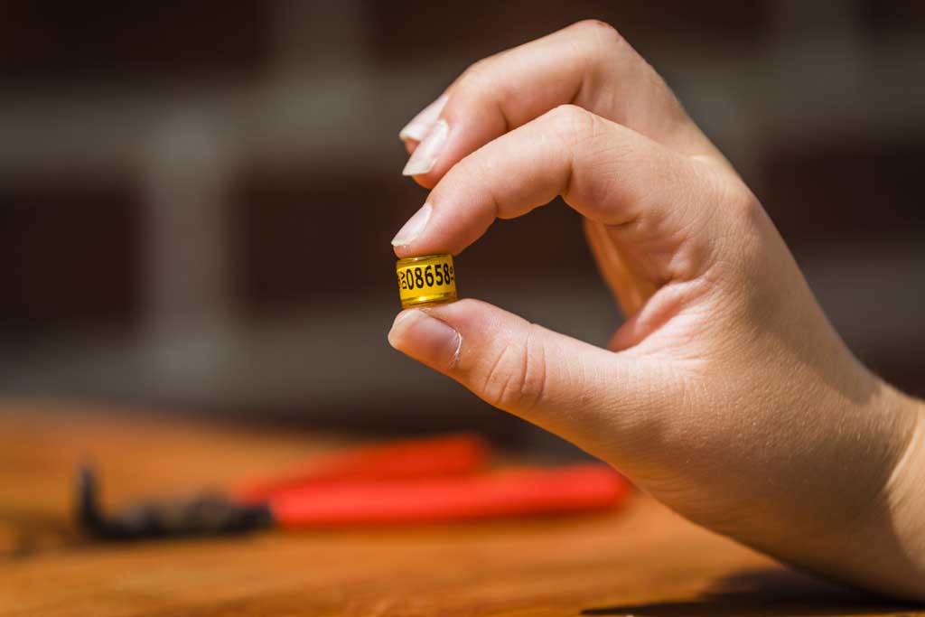 Urheberrechtlich Geschuetzte Aufnahmen.  [CREDIT: WWW.LARSBERG.EU Ê- Lars Berg, Von der Tinnenstrasse 13, 48145 Muenster, Germany, mobile +49 179 1379630, Bank: Dresdner Bank ÊKonto: 06 009 372 00, BLZ 400 800 40, IBAN: DE09 4008 0040 0600 9372 00 BIC: DRES DE FF 400, Finanzamt Muenster-Innenstadt, Steuernummer 337/5017/1774, USt-IdNr. DE247738150 - Verwendung nur gegen Namensnennung, Beleg und Honorar entsprechend aktueller MFMPreisliste zzgl. 7Prozent MwSt - Bei der Verwendung ausserhalb journalistischer Berichterstattung (z.B. Werbung etc.) bitte vorher mit dem Autor Kontakt aufnehmen. Es wird grundsaetzlich keine Einholung von Persoenlichkeits-, Kunst- oder Markenrechten zugesichert, es sei denn, dies ist hier in der Bildbeschriftung ausdruecklich vermerkt. Die Einholung dieser Rechte obliegt dem Nutzer. Es gelten die unter WWW.LARSBERG.EU aufgefhrten AGB`s. - NO MODEL RELEASE - ]