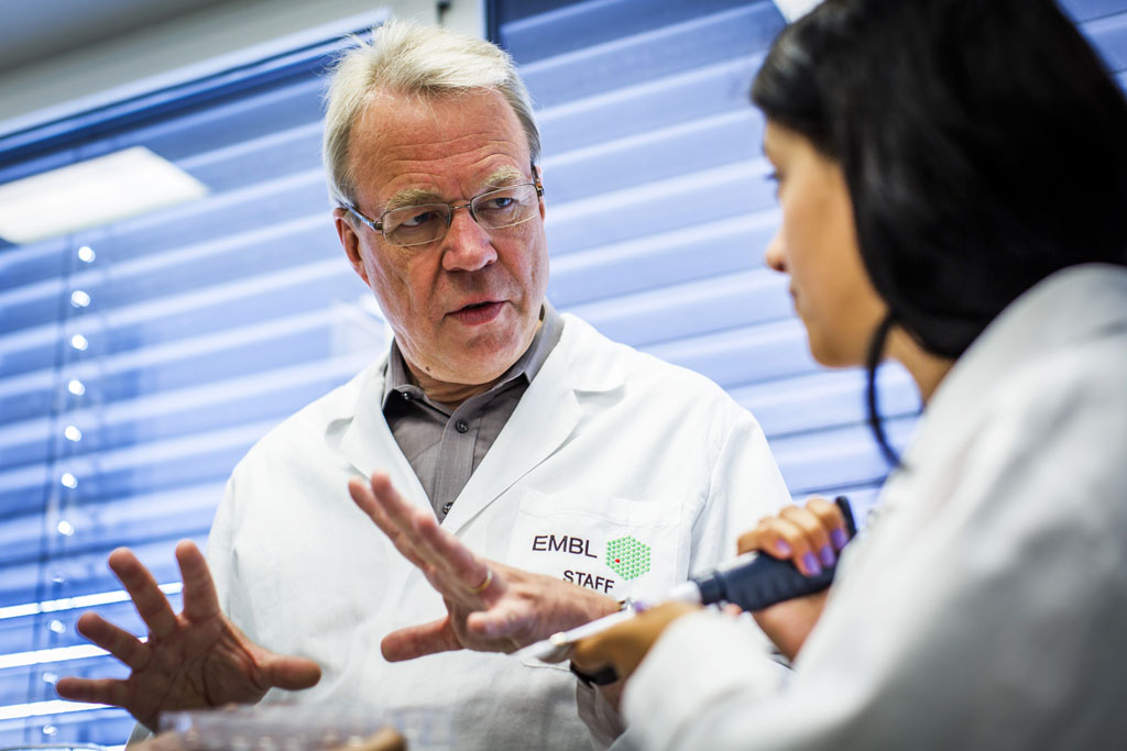 Urheberrechtlich Geschuetzte Aufnahmen.  [CREDIT: WWW.LARSBERG.EU Ê- Lars Berg, Von der Tinnenstrasse 13, 48145 Muenster, Germany, mobile +49 179 1379630, Bank: Dresdner Bank ÊKonto: 06 009 372 00, BLZ 400 800 40, IBAN: DE09 4008 0040 0600 9372 00 BIC: DRES DE FF 400, Finanzamt Muenster-Innenstadt, Steuernummer 337/5017/1774, USt-IdNr. DE247738150 - Verwendung nur gegen Namensnennung, Beleg und Honorar entsprechend aktueller MFMPreisliste zzgl. 7Prozent MwSt - Bei der Verwendung ausserhalb journalistischer Berichterstattung (z.B. Werbung etc.) bitte vorher mit dem Autor Kontakt aufnehmen. Es wird grundsaetzlich keine Einholung von Persoenlichkeits-, Kunst- oder Markenrechten zugesichert, es sei denn, dies ist hier in der Bildbeschriftung ausdruecklich vermerkt. Die Einholung dieser Rechte obliegt dem Nutzer. Es gelten die unter WWW.LARSBERG.EU aufgefhrten AGB`s. - NO MODEL RELEASE - ]