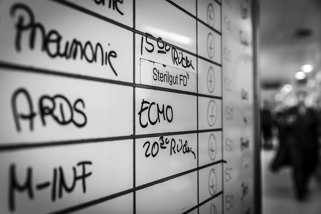 Urheberrechtlich geschuetzte Aufnahmen. Jede Verwendung ist honorarpflichtig und muss beim Urheber angezeigt werden!  [CREDIT: Lars Berg / WWW.LARSBERG.EU - Lars Berg, Von der Tinnenstrasse 13, 48145 Muenster, Germany, mobile +49 179 1379630, Bank: Commerzbank Mnster, IBAN: DE09 4008 0040 0600 9372 00 BIC: DRES DE FF 400, Finanzamt Muenster-Innenstadt, Steuernummer 337/5017/1774, USt-IdNr. DE247738150 - Verwendung nur gegen Namensnennung, Beleg und Honorar entsprechend aktueller MFMPreisliste zzgl. 7 Prozent MwSt - Bei der Verwendung ausserhalb journalistischer Berichterstattung (z.B. Werbung etc.) bitte vorher mit dem Autor Kontakt aufnehmen. Es wird grundsaetzlich keine Einholung von Persoenlichkeits-, Kunst- oder Markenrechten zugesichert, es sei denn, dies ist hier in der Bildbeschriftung ausdruecklich vermerkt. Die Einholung dieser Rechte obliegt dem Nutzer. Es gelten die unter WWW.LARSBERG.EU aufgefuehrten AGB. - NO MODEL RELEASE - ]