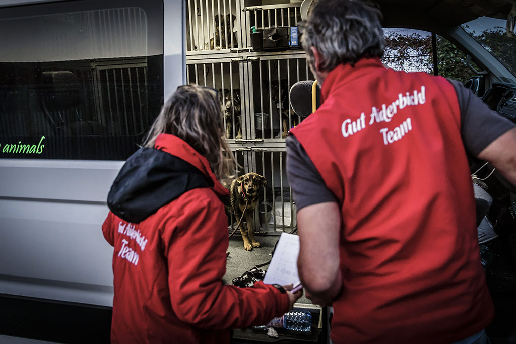Urheberrechtlich geschuetzte Aufnahmen. Jede Verwendung ist honorarpflichtig und muss beim Urheber angezeigt werden!  [CREDIT: Lars Berg / WWW.LARSBERG.EU - Lars Berg, Von der Tinnenstrasse 13, 48145 Muenster, Germany, mobile +49 179 1379630, Bank: Commerzbank Mnster, IBAN: DE09 4008 0040 0600 9372 00 BIC: DRES DE FF 400, Finanzamt Muenster-Innenstadt, Steuernummer 337/5017/1774, USt-IdNr. DE247738150 - Verwendung nur gegen Namensnennung, Beleg und Honorar entsprechend aktueller MFMPreisliste zzgl. 7 Prozent MwSt - Bei der Verwendung ausserhalb journalistischer Berichterstattung (z.B. Werbung etc.) bitte vorher mit dem Autor Kontakt aufnehmen. Es wird grundsaetzlich keine Einholung von Persoenlichkeits-, Kunst- oder Markenrechten zugesichert, es sei denn, dies ist hier in der Bildbeschriftung ausdruecklich vermerkt. Die Einholung dieser Rechte obliegt dem Nutzer. Es gelten die unter WWW.LARSBERG.EU aufgefuehrten AGB. - NO MODEL RELEASE - ]