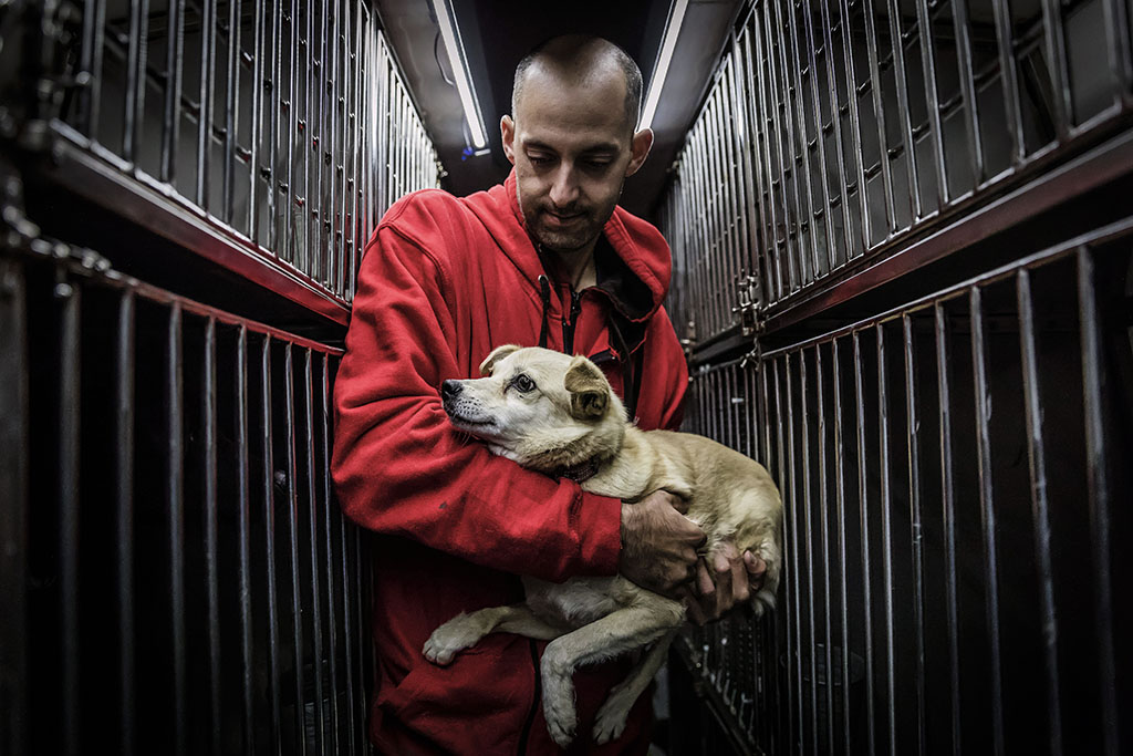 Urheberrechtlich geschuetzte Aufnahmen. Jede Verwendung ist honorarpflichtig und muss beim Urheber angezeigt werden!  [CREDIT: Lars Berg / WWW.LARSBERG.EU - Lars Berg, Von der Tinnenstrasse 13, 48145 Muenster, Germany, mobile +49 179 1379630, Bank: Commerzbank Mnster, IBAN: DE09 4008 0040 0600 9372 00 BIC: DRES DE FF 400, Finanzamt Muenster-Innenstadt, Steuernummer 337/5017/1774, USt-IdNr. DE247738150 - Verwendung nur gegen Namensnennung, Beleg und Honorar entsprechend aktueller MFMPreisliste zzgl. 7 Prozent MwSt - Bei der Verwendung ausserhalb journalistischer Berichterstattung (z.B. Werbung etc.) bitte vorher mit dem Autor Kontakt aufnehmen. Es wird grundsaetzlich keine Einholung von Persoenlichkeits-, Kunst- oder Markenrechten zugesichert, es sei denn, dies ist hier in der Bildbeschriftung ausdruecklich vermerkt. Die Einholung dieser Rechte obliegt dem Nutzer. Es gelten die unter WWW.LARSBERG.EU aufgefuehrten AGB. - NO MODEL RELEASE - ]