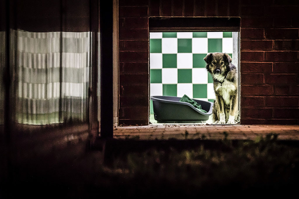 Urheberrechtlich geschuetzte Aufnahmen. Jede Verwendung ist honorarpflichtig und muss beim Urheber angezeigt werden!  [CREDIT: Lars Berg / WWW.LARSBERG.EU - Lars Berg, Von der Tinnenstrasse 13, 48145 Muenster, Germany, mobile +49 179 1379630, Bank: Commerzbank Mnster, IBAN: DE09 4008 0040 0600 9372 00 BIC: DRES DE FF 400, Finanzamt Muenster-Innenstadt, Steuernummer 337/5017/1774, USt-IdNr. DE247738150 - Verwendung nur gegen Namensnennung, Beleg und Honorar entsprechend aktueller MFMPreisliste zzgl. 7 Prozent MwSt - Bei der Verwendung ausserhalb journalistischer Berichterstattung (z.B. Werbung etc.) bitte vorher mit dem Autor Kontakt aufnehmen. Es wird grundsaetzlich keine Einholung von Persoenlichkeits-, Kunst- oder Markenrechten zugesichert, es sei denn, dies ist hier in der Bildbeschriftung ausdruecklich vermerkt. Die Einholung dieser Rechte obliegt dem Nutzer. Es gelten die unter WWW.LARSBERG.EU aufgefuehrten AGB. - NO MODEL RELEASE - ]