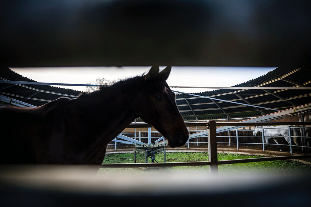 Urheberrechtlich geschuetzte Aufnahmen. Jede Verwendung ist honorarpflichtig und muss beim Urheber angezeigt werden!  [CREDIT: Lars Berg / WWW.LARSBERG.EU - Lars Berg, Von der Tinnenstrasse 13, 48145 Muenster, Germany, mobile +49 179 1379630, Bank: Commerzbank Mnster, IBAN: DE09 4008 0040 0600 9372 00 BIC: DRES DE FF 400, Finanzamt Muenster-Innenstadt, Steuernummer 337/5017/1774, USt-IdNr. DE247738150 - Verwendung nur gegen Namensnennung, Beleg und Honorar entsprechend aktueller MFMPreisliste zzgl. 7 Prozent MwSt - Bei der Verwendung ausserhalb journalistischer Berichterstattung (z.B. Werbung etc.) bitte vorher mit dem Autor Kontakt aufnehmen. Es wird grundsaetzlich keine Einholung von Persoenlichkeits-, Kunst- oder Markenrechten zugesichert, es sei denn, dies ist hier in der Bildbeschriftung ausdruecklich vermerkt. Die Einholung dieser Rechte obliegt dem Nutzer. Es gelten die unter WWW.LARSBERG.EU aufgefuehrten AGB. - NO MODEL RELEASE - ]