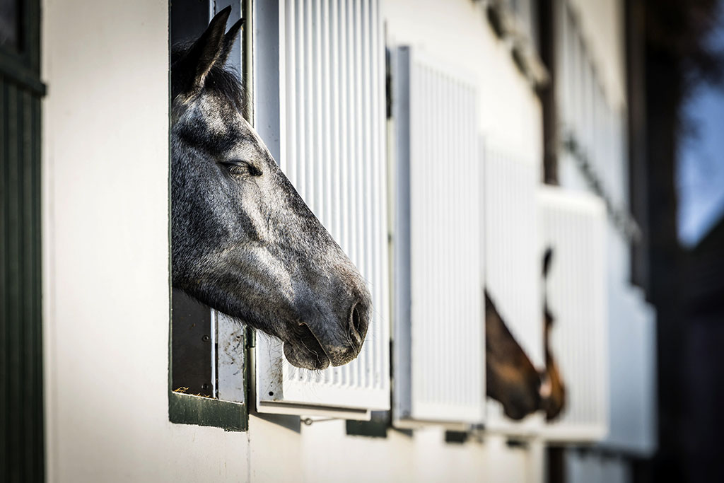 Urheberrechtlich geschuetzte Aufnahmen. Jede Verwendung ist honorarpflichtig und muss beim Urheber angezeigt werden!  [CREDIT: Lars Berg / WWW.LARSBERG.EU - Lars Berg, Von der Tinnenstrasse 13, 48145 Muenster, Germany, mobile +49 179 1379630, Bank: Commerzbank Mnster, IBAN: DE09 4008 0040 0600 9372 00 BIC: DRES DE FF 400, Finanzamt Muenster-Innenstadt, Steuernummer 337/5017/1774, USt-IdNr. DE247738150 - Verwendung nur gegen Namensnennung, Beleg und Honorar entsprechend aktueller MFMPreisliste zzgl. 7 Prozent MwSt - Bei der Verwendung ausserhalb journalistischer Berichterstattung (z.B. Werbung etc.) bitte vorher mit dem Autor Kontakt aufnehmen. Es wird grundsaetzlich keine Einholung von Persoenlichkeits-, Kunst- oder Markenrechten zugesichert, es sei denn, dies ist hier in der Bildbeschriftung ausdruecklich vermerkt. Die Einholung dieser Rechte obliegt dem Nutzer. Es gelten die unter WWW.LARSBERG.EU aufgefuehrten AGB. - NO MODEL RELEASE - ]