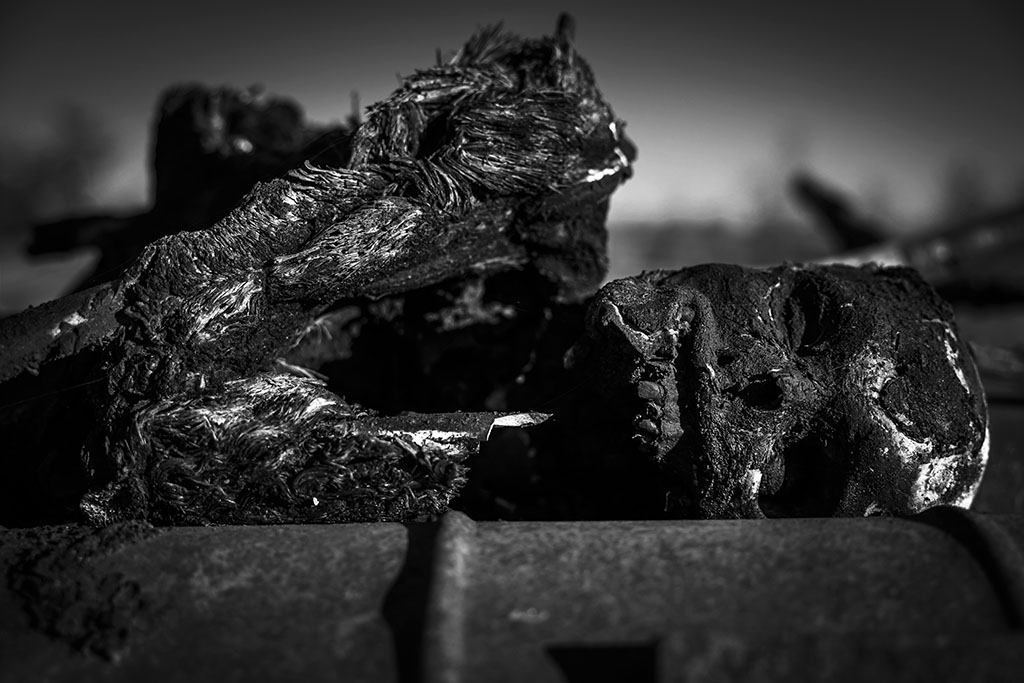 Urheberrechtlich geschuetzte Aufnahmen. Jede Verwendung ist honorarpflichtig und muss beim Urheber angezeigt werden!  [CREDIT: Lars Berg / WWW.LARSBERG.EU - Lars Berg, Von der Tinnenstrasse 13, 48145 Muenster, Germany, mobile +49 179 1379630, Bank: Commerzbank Mnster, IBAN: DE09 4008 0040 0600 9372 00 BIC: DRES DE FF 400, Finanzamt Muenster-Innenstadt, Steuernummer 337/5017/1774, USt-IdNr. DE247738150 - Verwendung nur gegen Namensnennung, Beleg und Honorar entsprechend aktueller MFMPreisliste zzgl. 7 Prozent MwSt - Bei der Verwendung ausserhalb journalistischer Berichterstattung (z.B. Werbung etc.) bitte vorher mit dem Autor Kontakt aufnehmen. Es wird grundsaetzlich keine Einholung von Persoenlichkeits-, Kunst- oder Markenrechten zugesichert, es sei denn, dies ist hier in der Bildbeschriftung ausdruecklich vermerkt. Die Einholung dieser Rechte obliegt dem Nutzer. Es gelten die unter WWW.LARSBERG.EU aufgefuehrten AGB. - NO MODEL RELEASE - ]