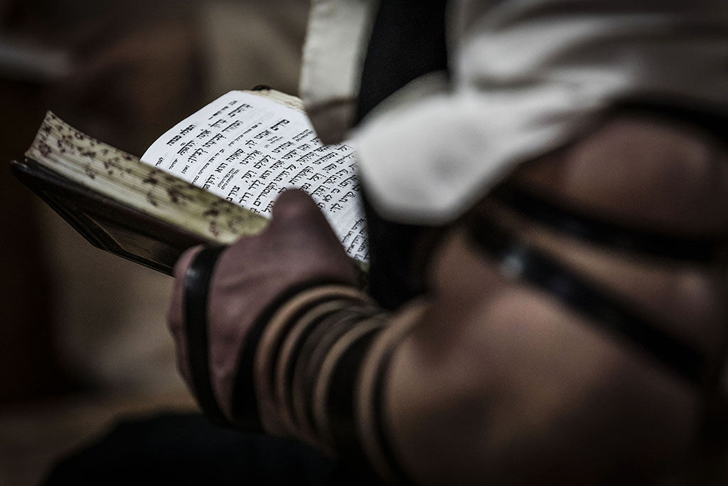Urheberrechtlich geschuetzte Aufnahmen. Jede Verwendung ist honorarpflichtig und muss beim Urheber angezeigt werden!  [CREDIT: Lars Berg / WWW.LARSBERG.EU - Lars Berg, Von der Tinnenstrasse 13, 48145 Muenster, Germany, mobile +49 179 1379630, Bank: Commerzbank Mnster, IBAN: DE09 4008 0040 0600 9372 00 BIC: DRES DE FF 400, Finanzamt Muenster-Innenstadt, Steuernummer 337/5017/1774, USt-IdNr. DE247738150 - Verwendung nur gegen Namensnennung, Beleg und Honorar entsprechend aktueller MFMPreisliste zzgl. 7 Prozent MwSt - Bei der Verwendung ausserhalb journalistischer Berichterstattung (z.B. Werbung etc.) bitte vorher mit dem Autor Kontakt aufnehmen. Es wird grundsaetzlich keine Einholung von Persoenlichkeits-, Kunst- oder Markenrechten zugesichert, es sei denn, dies ist hier in der Bildbeschriftung ausdruecklich vermerkt. Die Einholung dieser Rechte obliegt dem Nutzer. Es gelten die unter WWW.LARSBERG.EU aufgefuehrten AGB. - NO MODEL RELEASE - ]